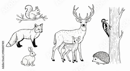 Forest creatures in a charming black and white sketch