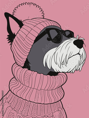 Stylish Schnauzer Dog in Pink Knit Outfit