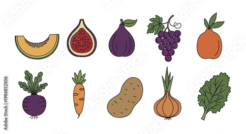 Collection of Fresh Fruits and Vegetables Illustration.