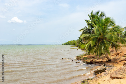 Boat under Palm trees at Lake 