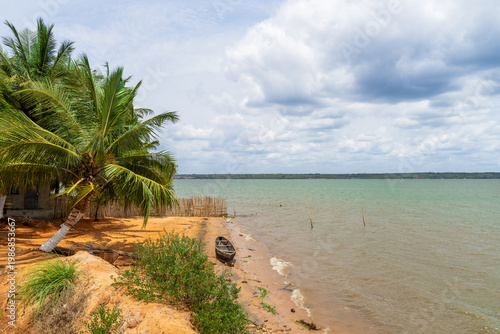 Boat under Palm trees at Lake 