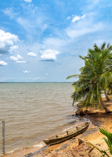 Boat under Palm trees at Lake 