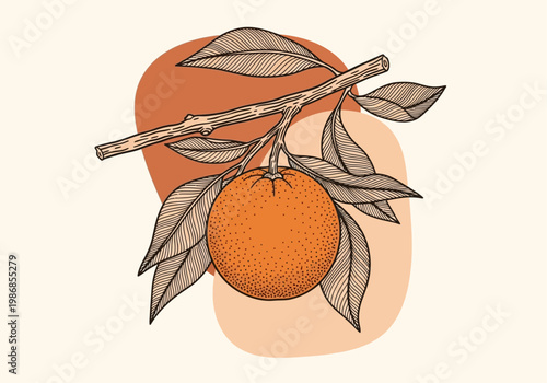 Boho Minimalist Orange Fruit on Branch Botanical Illustration with Abstract Terracotta Organic Shapes - Vintage Line Art Style