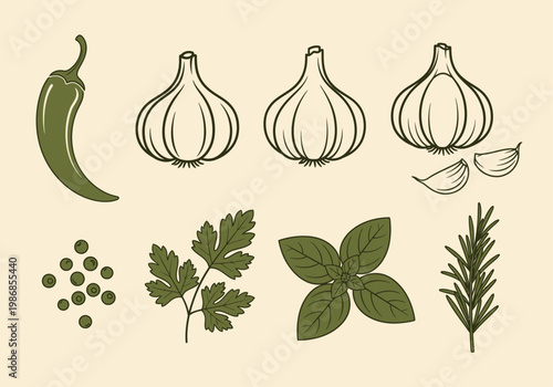 Vintage Herb and Spice Illustration Set: Garlic, Chili, Rosemary, Basil, Parsley, and Peppercorns Line Art