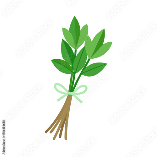 Fresh mint bunch tied with light blue bow for healthy beverage and dessert garnishing elements