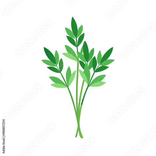 Minimalist green herb stems vector illustration isolated on a transparent background for graphics