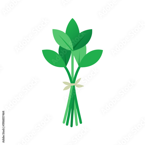 Bunch of green leaves tied with ribbon isolated on transparent background, healthy nature concept