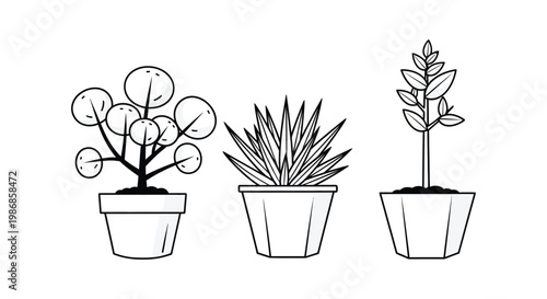 A minimalist black and white illustration of three potted plants with varying foliage presented as a silhouette high quality professional detailed