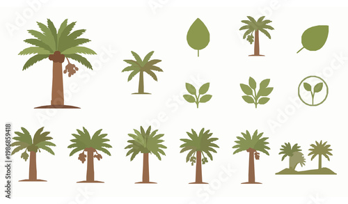 A collection of various palm tree and leaf illustrations on a white background