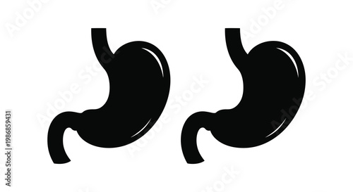 Two black stomach illustrations are displayed against a white background showcasing anatomical features in a bold silhouette high quality professional detailed