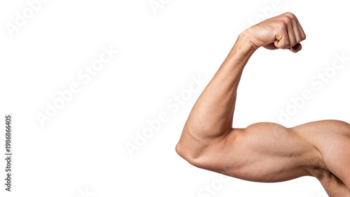 Photos Man flexes arm muscle in a display of strength isolated on transparent backgroun