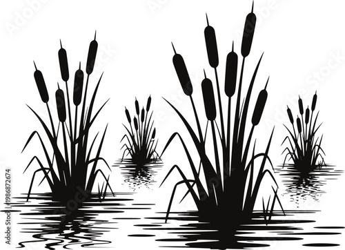 Black silhouette cattails growing in water with ripples white background bulrush