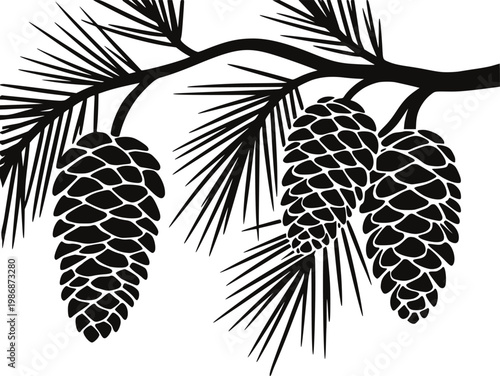 Black silhouette of pine cones and needles a white background, branch tree