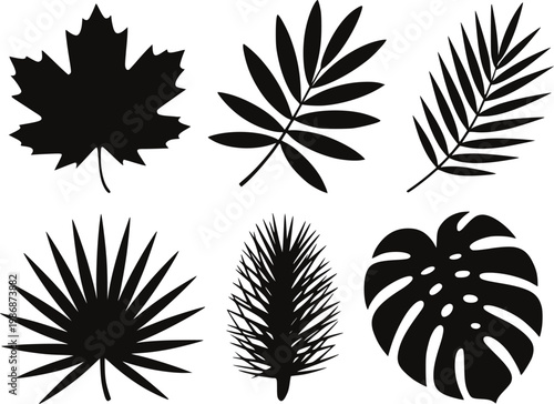 Collection of black silhouette tropical and autumn leaves white background, leaf