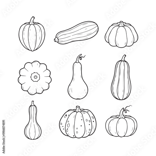 Hand drawn vector pumpkin and squash collection featuring butternut, zucchini, and gourd icons in minimalist line art style.