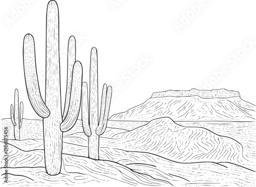 Line desert landscape with saguaro cacti and mesa, white background, cactus nature