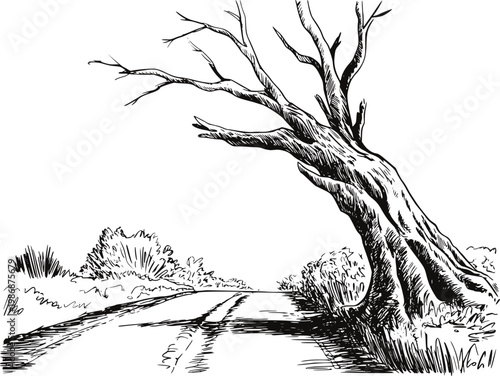 Of a gnarled, leafless tree leaning over a rural dirt road with bushes