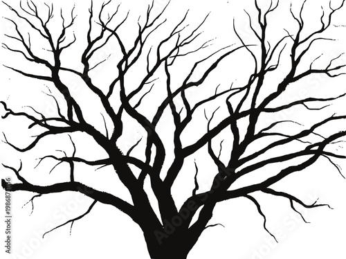 Silhouette of a large, bare tree with intricate, branching limbs against a white background