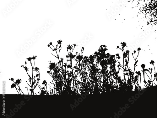 Silhouette of wild meadow flowers and grass against a white background, with splatter effect