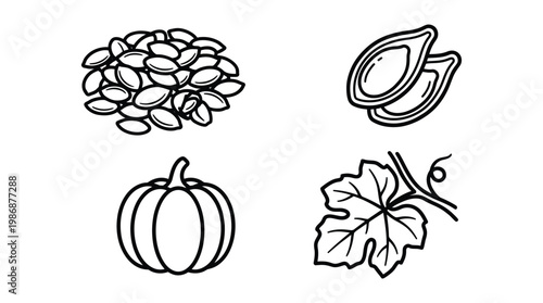 Pumpkin harvest set with seeds whole squash and vine leaf line icons.