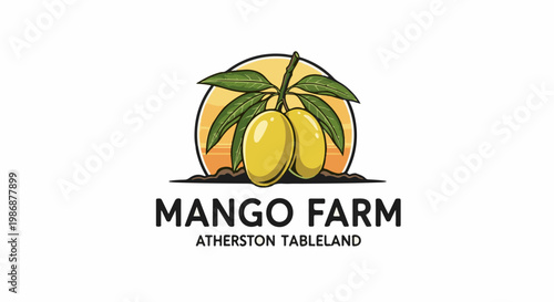 Mangoes on a branch with leaves, sunset behind