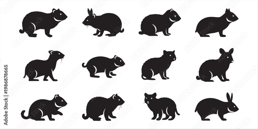 Fototapeta premium Small mammals of northern lands vector silhouettes, wildlife, arctic animals, vector illustration, wildlife silhouettes, mammals collection, northern mammals, nature vector art