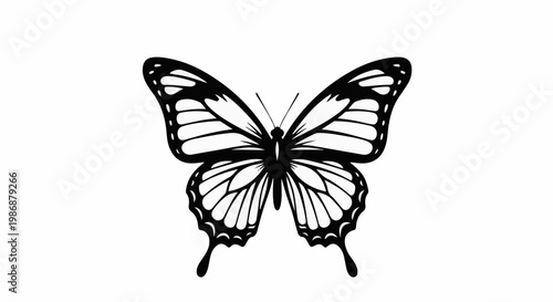 Intricate black and white silhouette of a butterfly with detailed wings