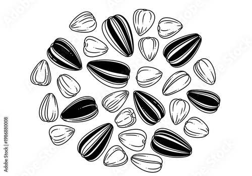 Black and White Line Art Illustration of Scattered Sunflower Seeds, Hand-Drawn Sketch of Healthy Organic Snacks Isolated on White Background