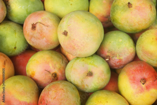 Many fresh ripe mangoes as background	