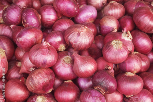 Many red onion bulbs as background	