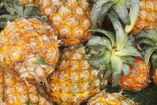 Many ripe pineapples as background