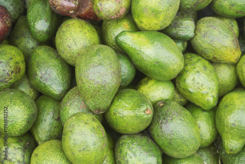 Many fresh avocados close up as background	