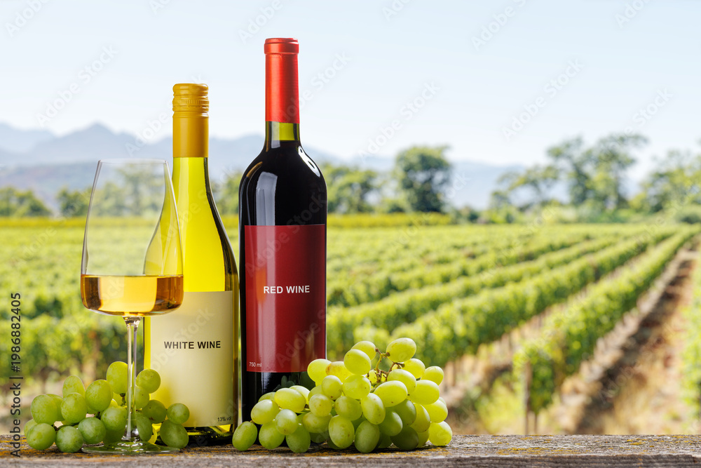Fototapeta premium Red and white wine bottles with grapes