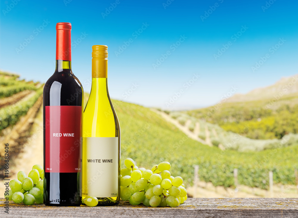 Fototapeta premium Red and white wine bottles with grapes