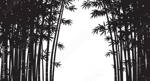 Black palm tree silhouettes, tropical forest landscape, vector illustration, white background