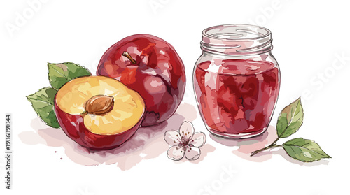 Watercolor plum illustration with fruit slice and jam jar on surface.