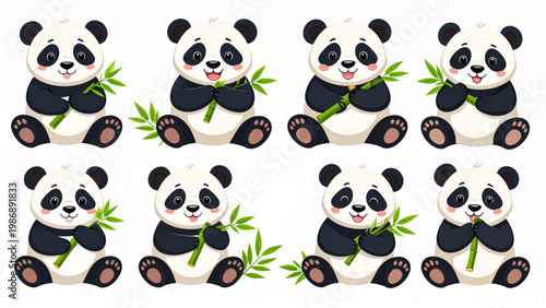 Cute Panda with Bamboo in Happy Poses Cartoon Vector Illustration Set