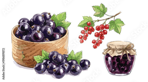 Blackcurrant berries in bowl with jam jar and red currant vector art.