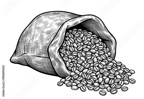Vintage engraved sack of coffee beans spilling out with detailed texture and shading, vector illustration