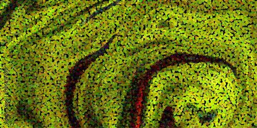 Schilderij op canvas Vibrant pointillist abstract of green and yellow organic shapes with dark red ac