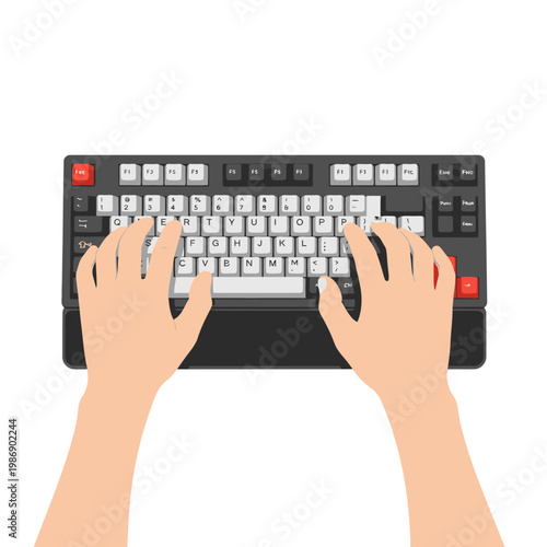 Typing Hands on Mechanical Keyboard, Top View