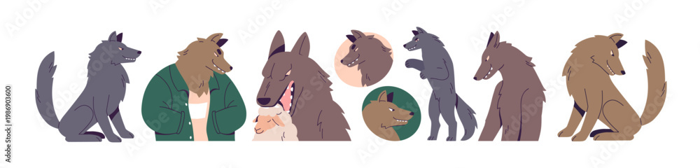 Fototapeta premium Wolf set. Wild forest animal, anthropomorphic character, with sheep, head avatars, standing and sitting poses. Wolves grinning, evil sly smile. Flat vector illustrations isolated on white background