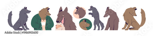 Wolf set. Wild forest animal, anthropomorphic character, with sheep, head avatars, standing and sitting poses. Wolves grinning, evil sly smile. Flat vector illustrations isolated on white background