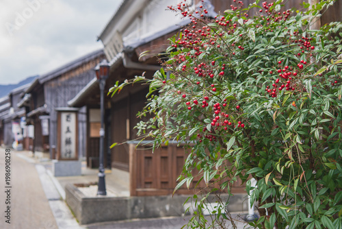 日本：東海道の関宿／レトロな町並みをバックに赤い実が付いたナンテン【重要伝統的建造物群保存地区】三重県亀山市