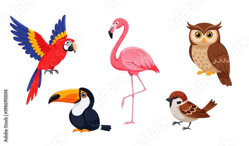 Cute colorful birds vector collection with cartoon animal characters in different poses isolated on white