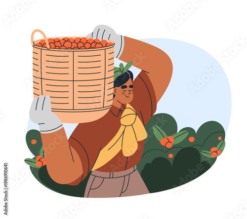 Woman farmer carrying collected coffee cherries, berries in basket. Female, f...