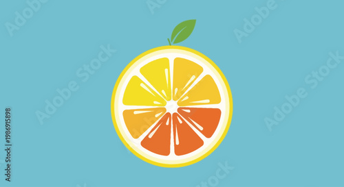 Citrus Fruit Slice Illustration Closeup.