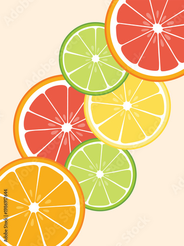 Citrus slice card. Grapefruit, orange, limone, lime