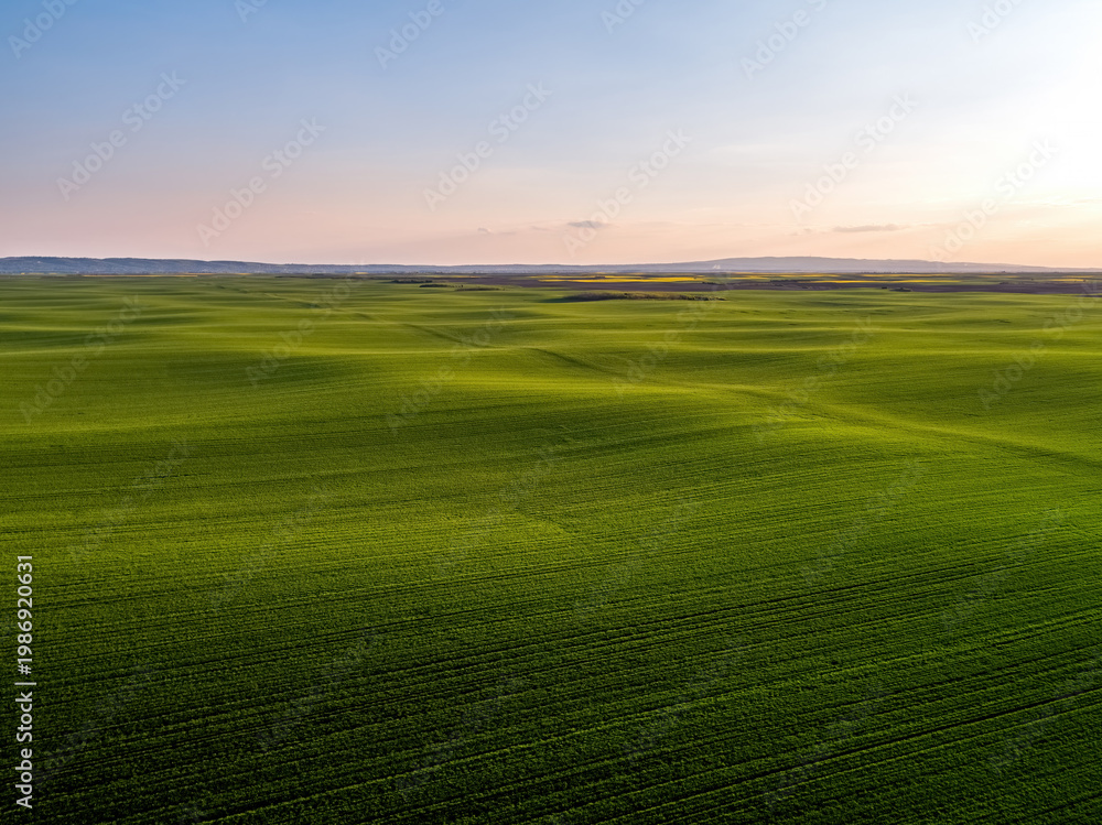 Obraz premium Rolling green fields and agricultural landscape at sunset