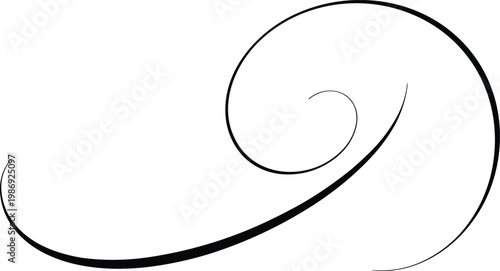 Minimalist decorative swirl flourish line drawing, elegant calligraphic curve, abstract ornament design, modern typography embellishment, graceful artistic element